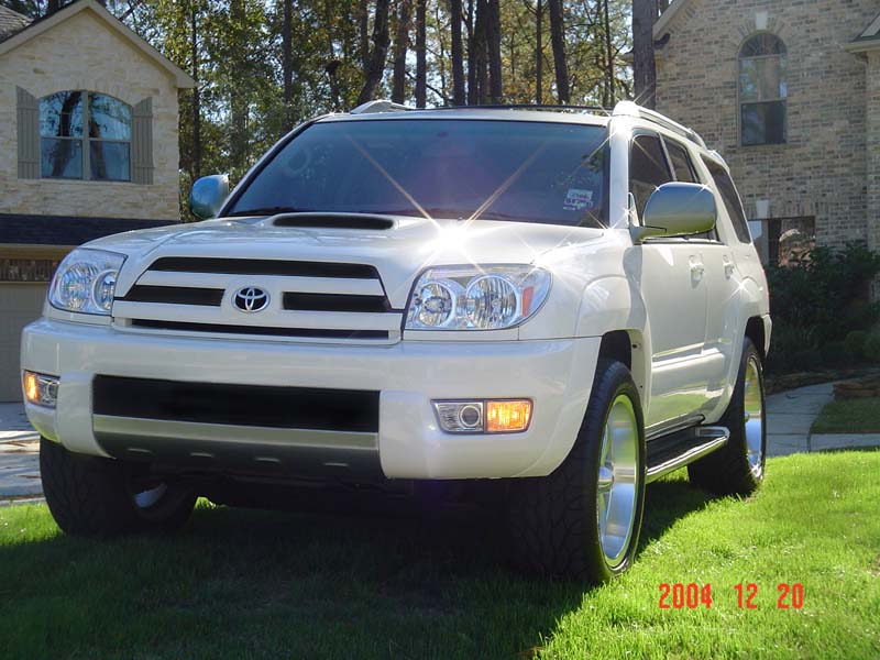 pic16.jpg